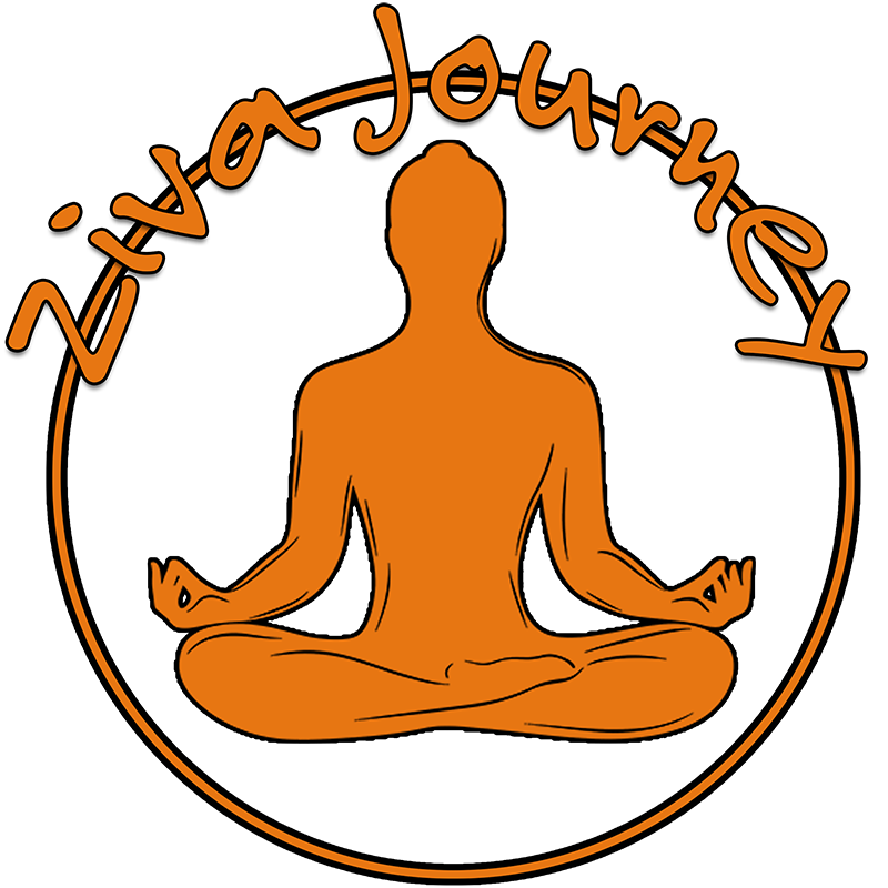 Ziva Journey